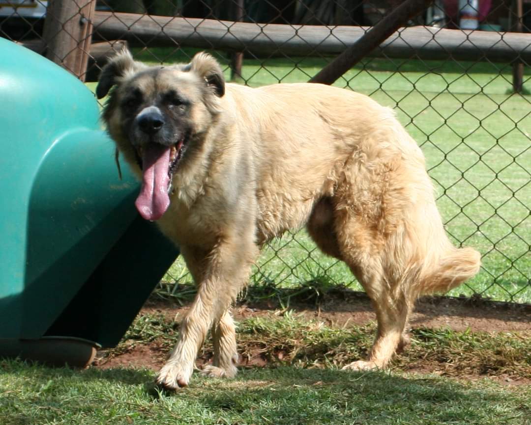 Photo of Parker