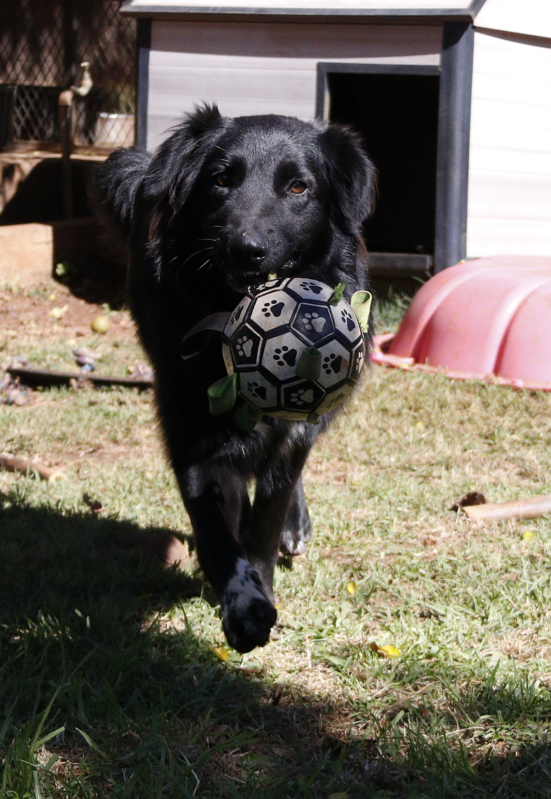 Photo of Leo