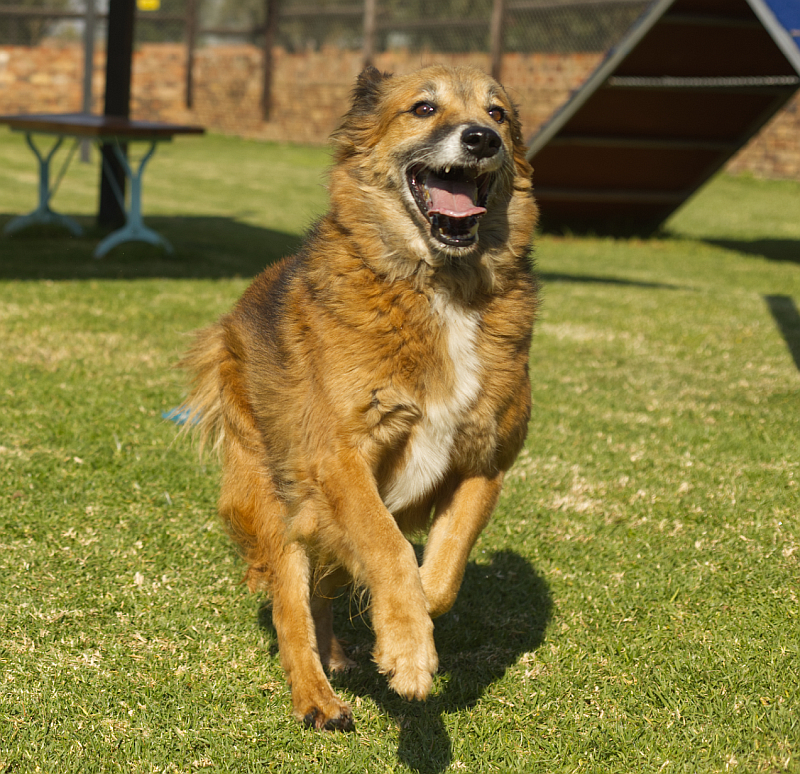 Photo of Dug
