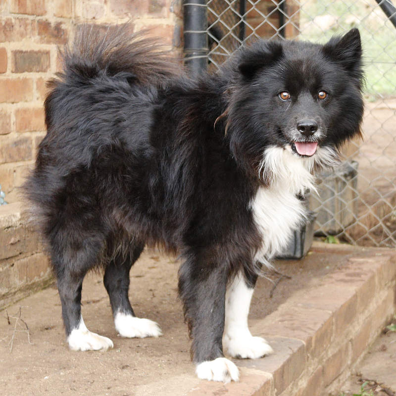 Photo of Jimothy
