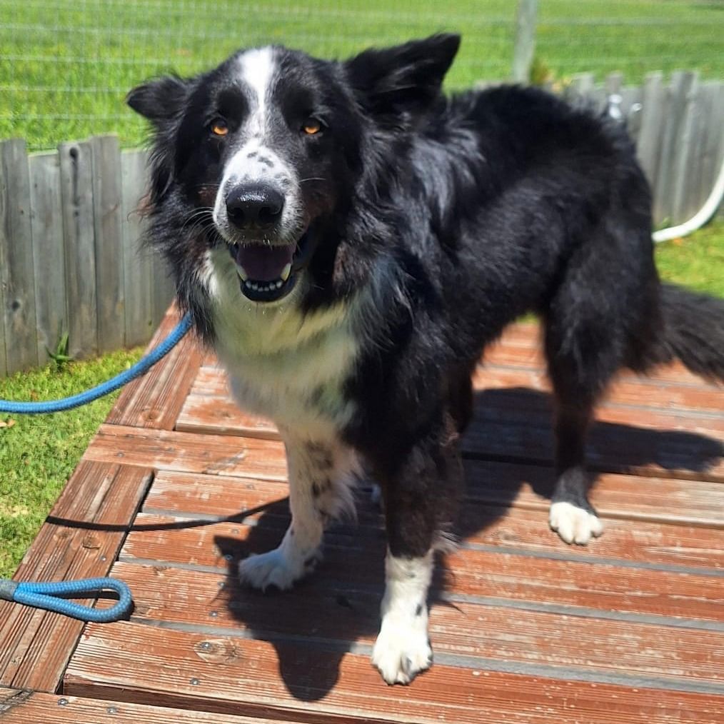 Photo of Fynn