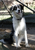 Photo of Moana