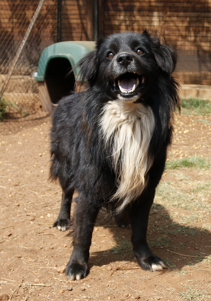 Photo of Max