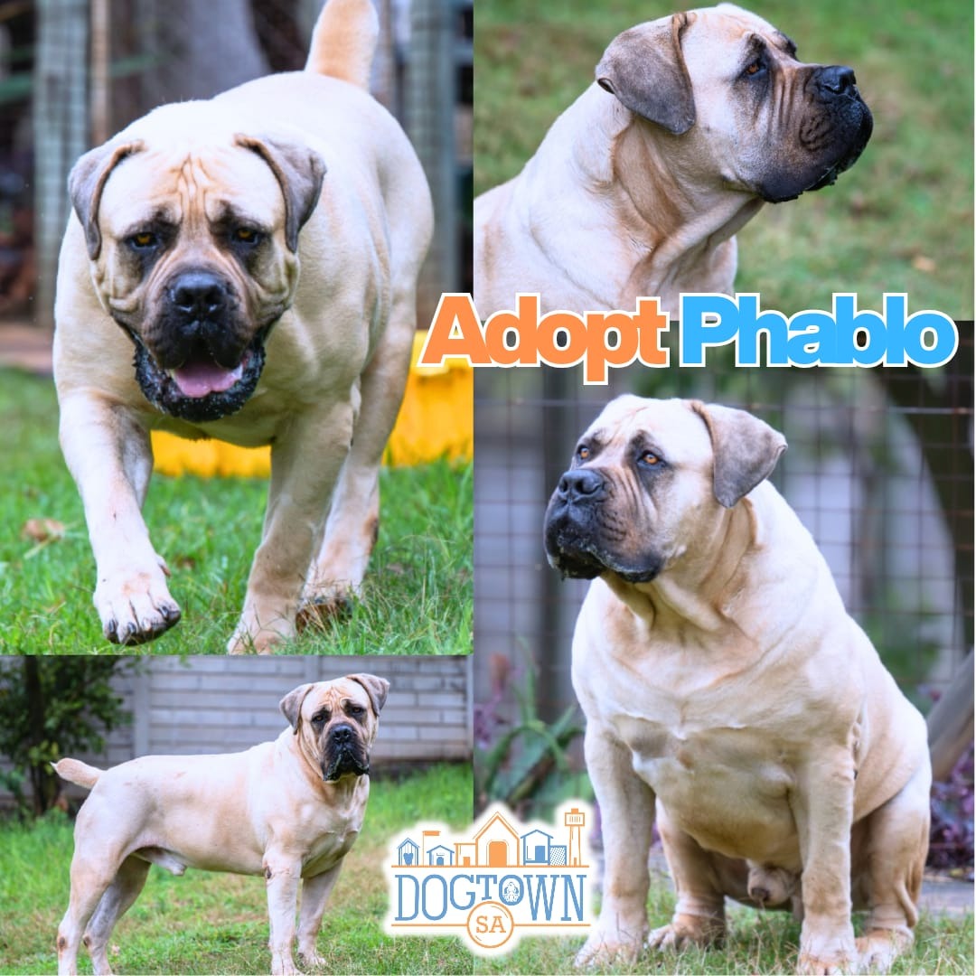 Photo of Phablo