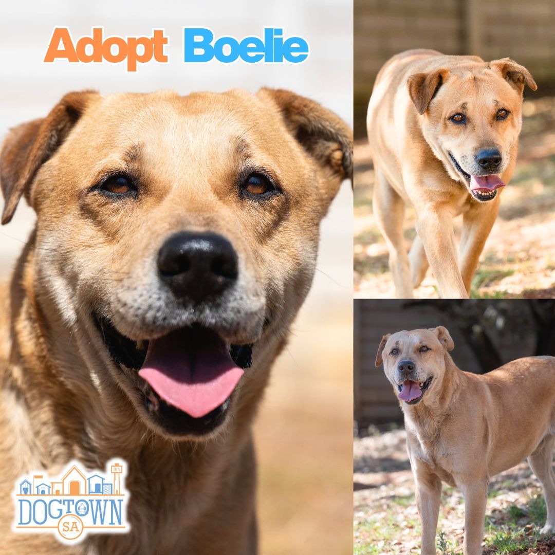 Photo of Boelie