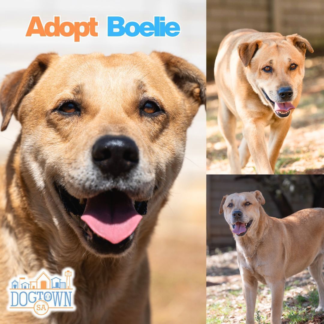 Photo of Boelie