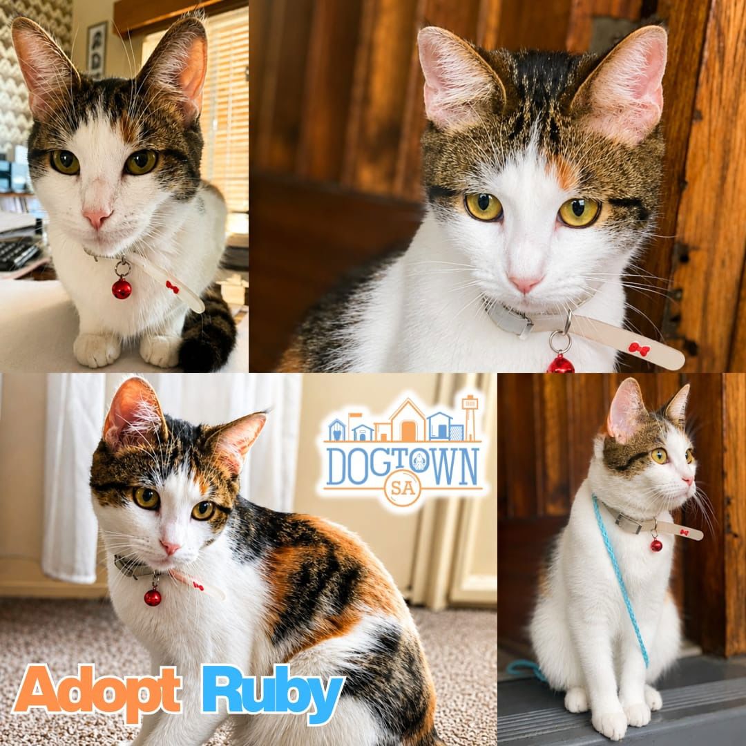 Photo of Ruby