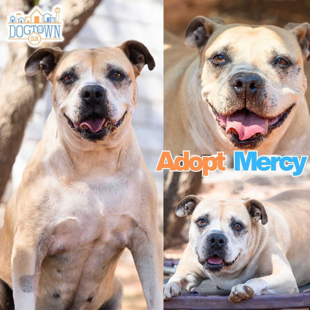 Photo of Mercy