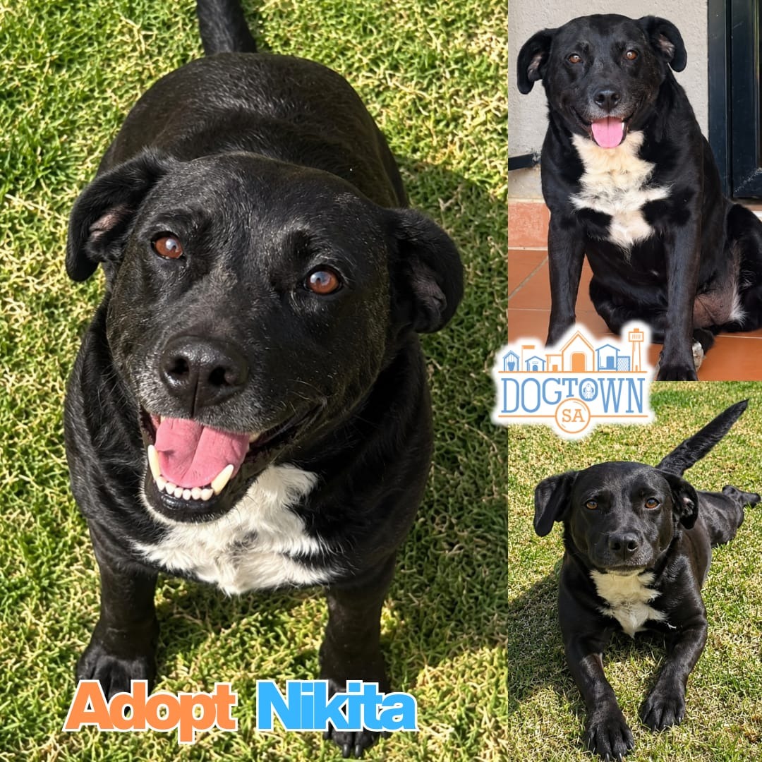 Photo of Nikita