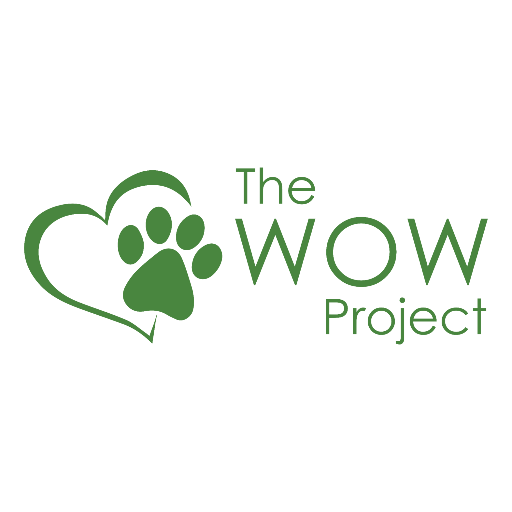Photo of The WOW Project