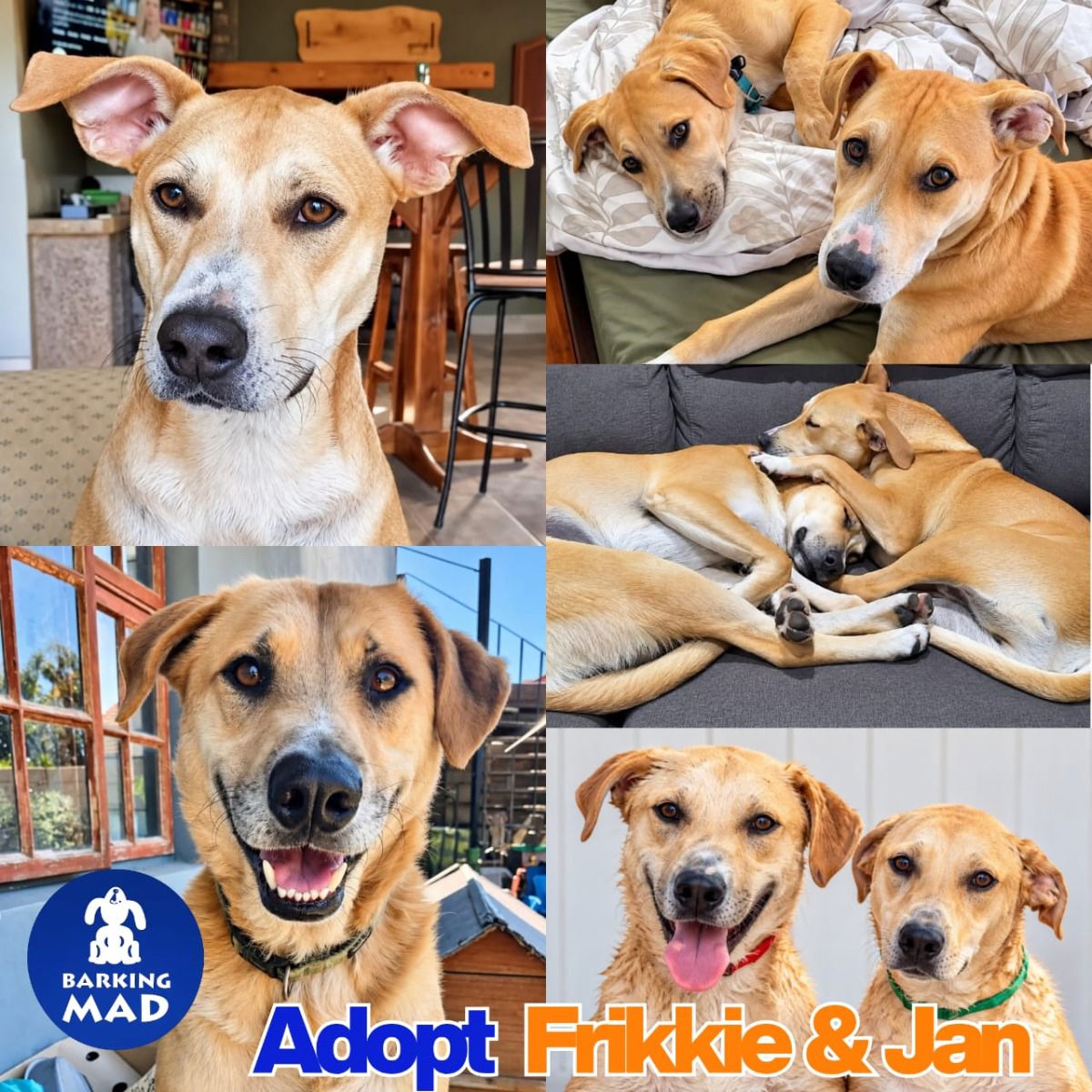 Photo of Jan & Frikkie