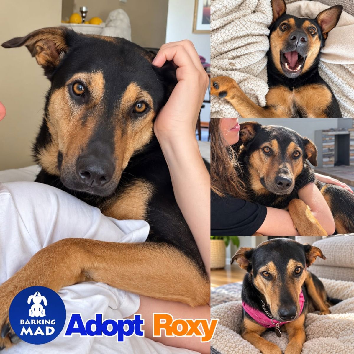 Photo of Roxy