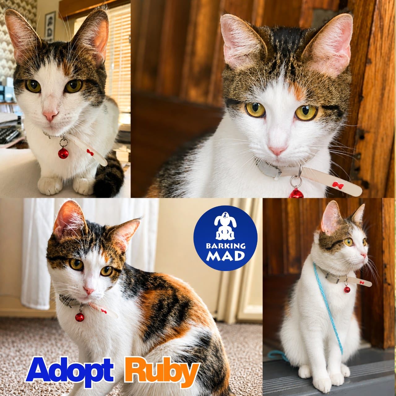 Photo of Ruby