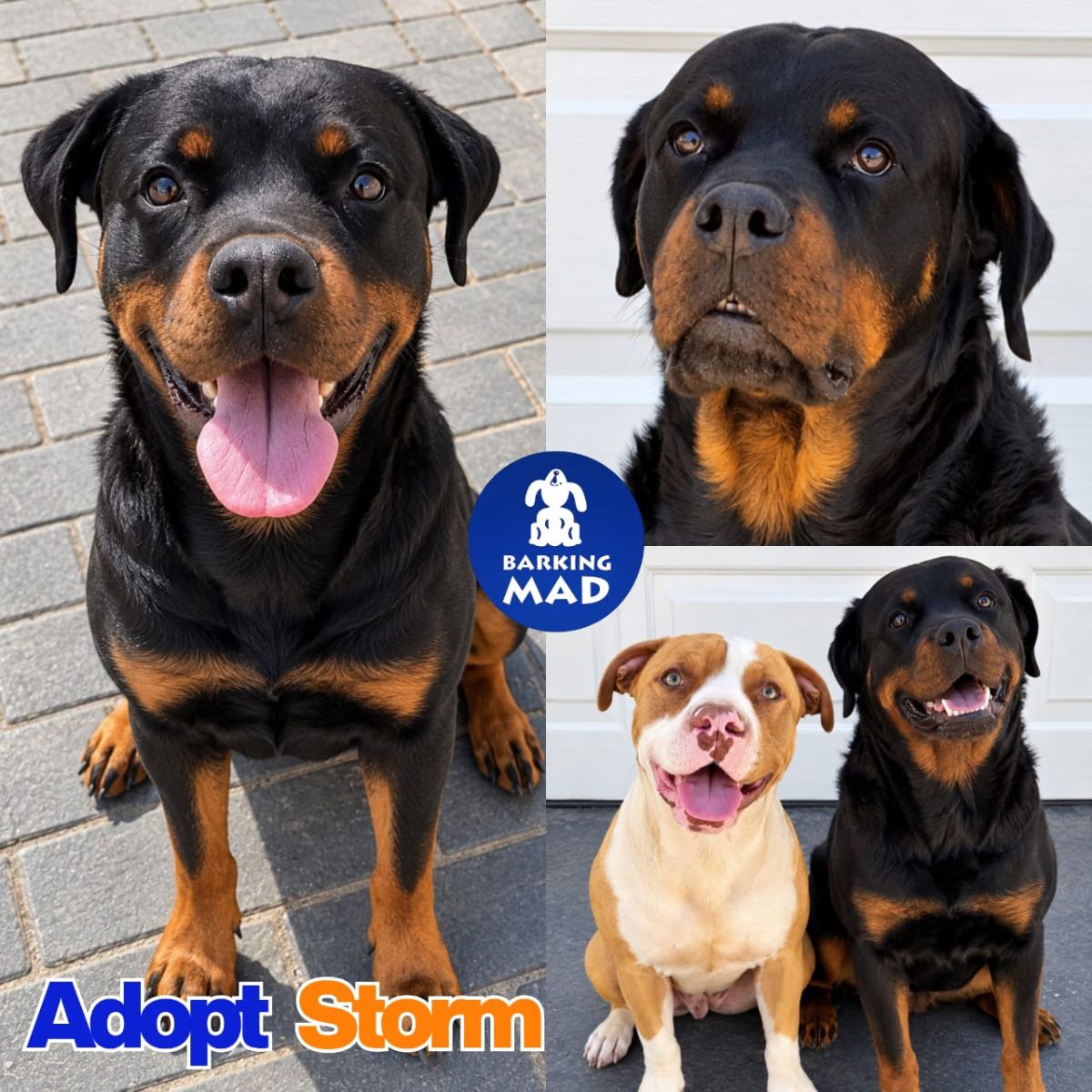 Photo of Storm