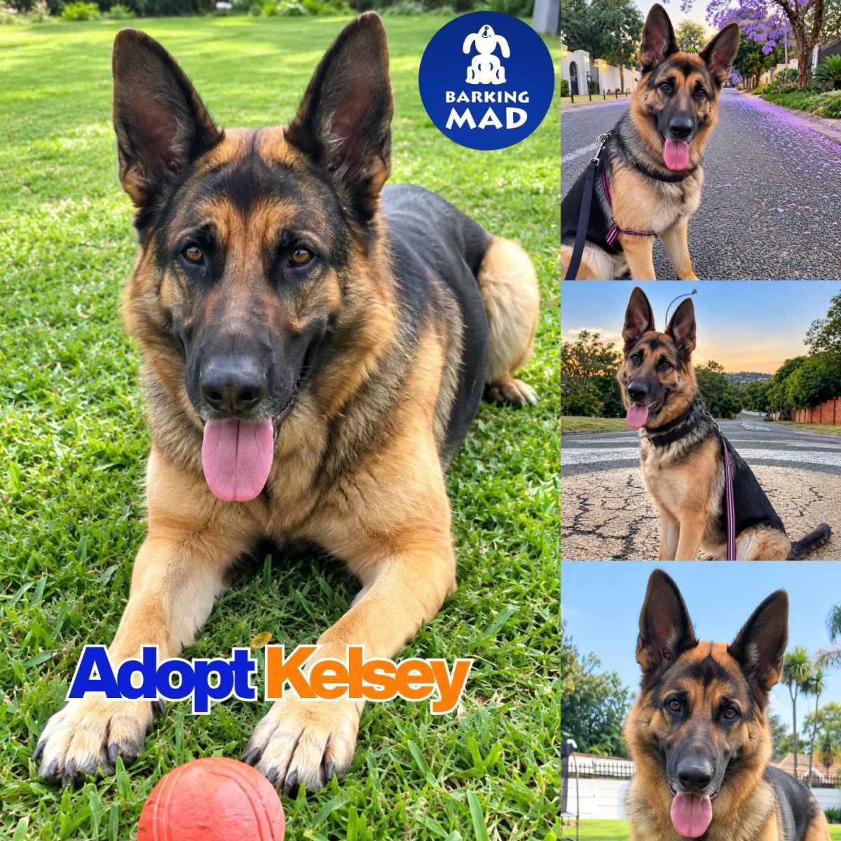 Photo of Kelsey