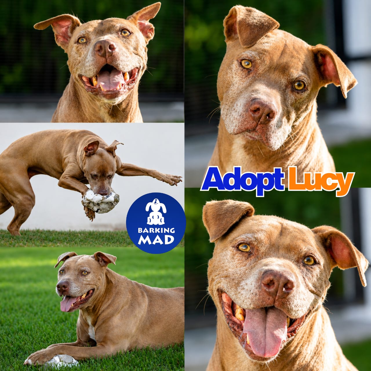Photo of Lucy
