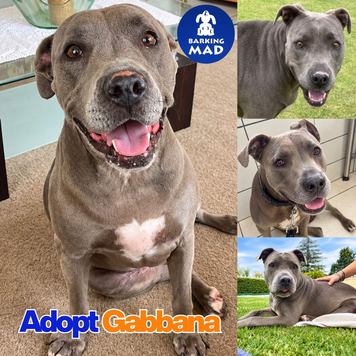 Photo of Gabbana