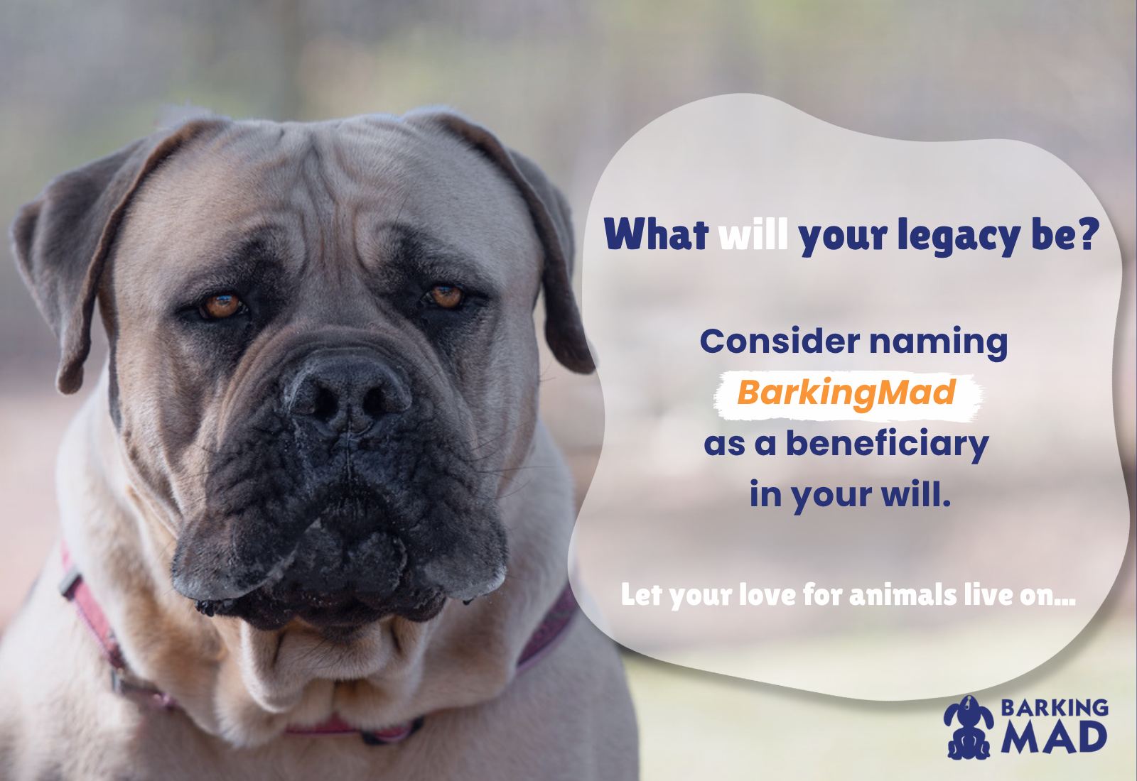 Let Your Love for Animals Live On: Leave a Gift to BarkingMad in Your Will