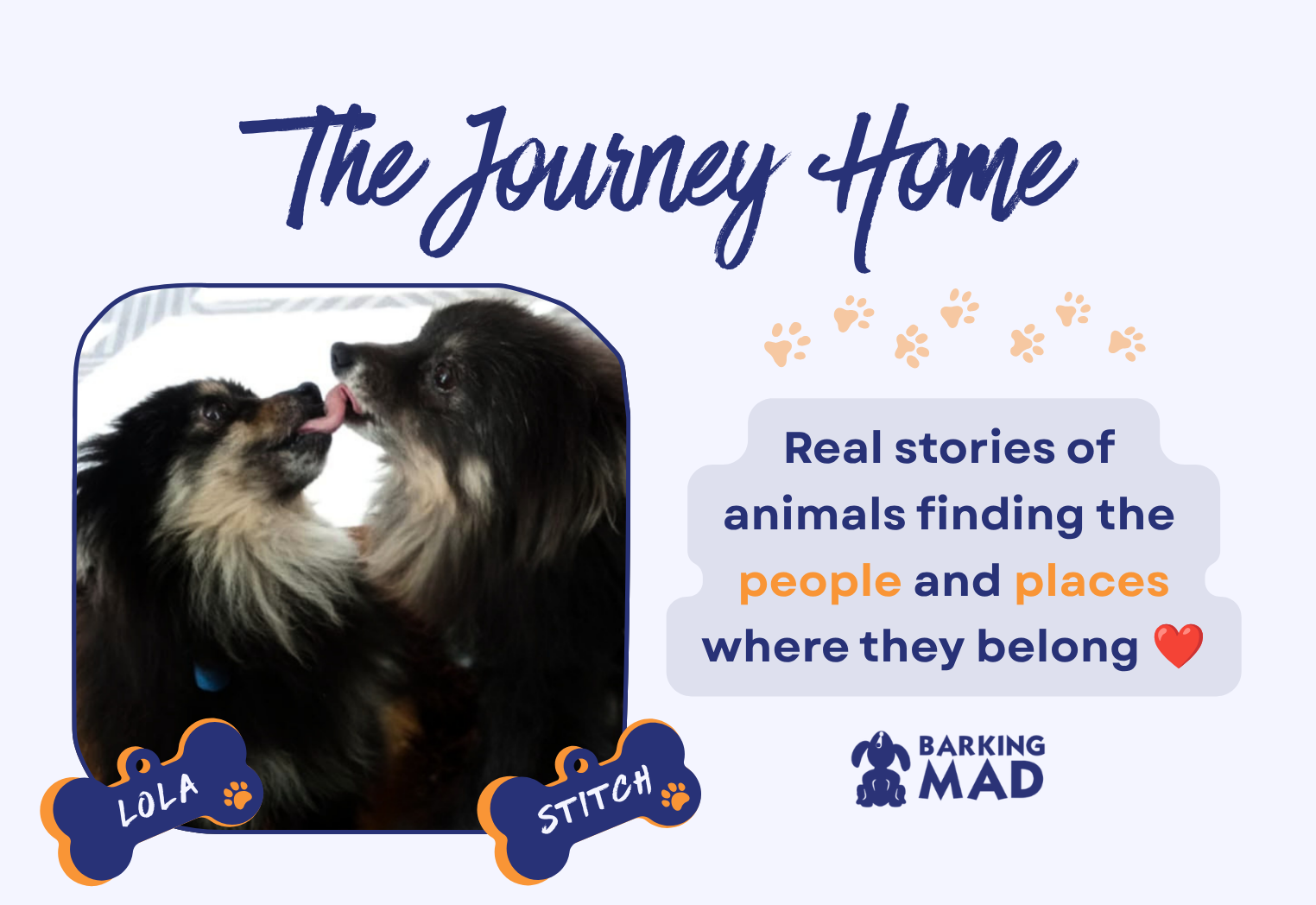 The Right Home Is Worth Waiting For: Stitch & Lola’s Journey Home