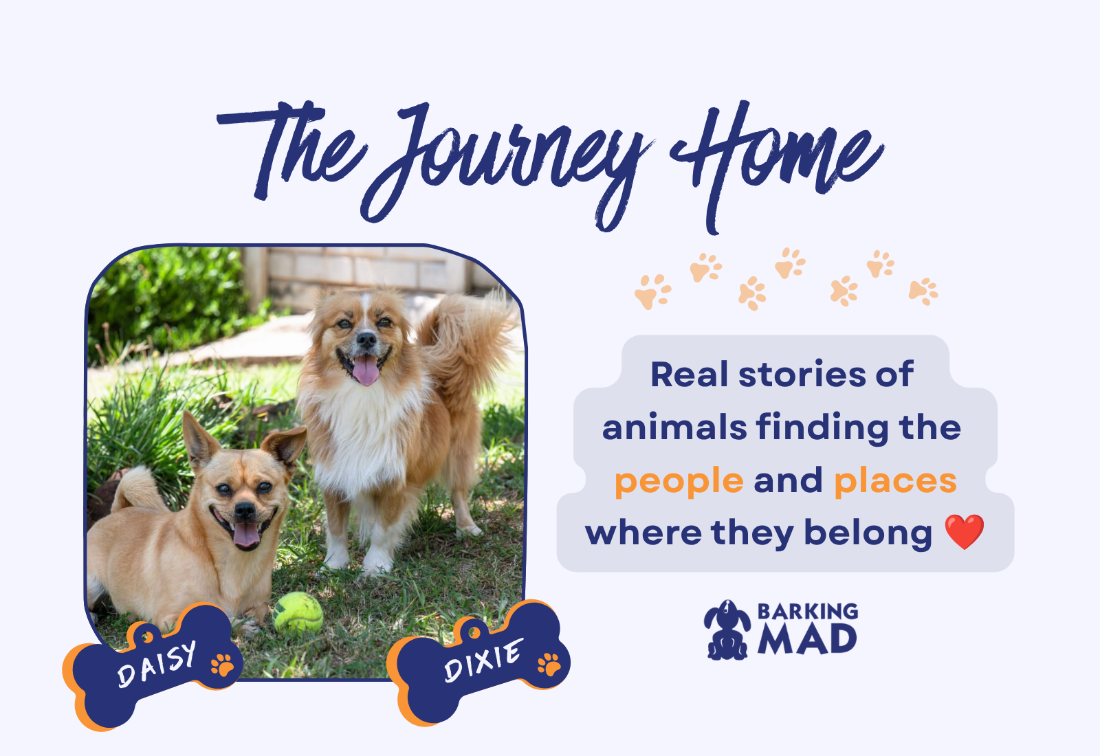 Dixie and Daisy: A Year of Waiting, a Lifetime Together