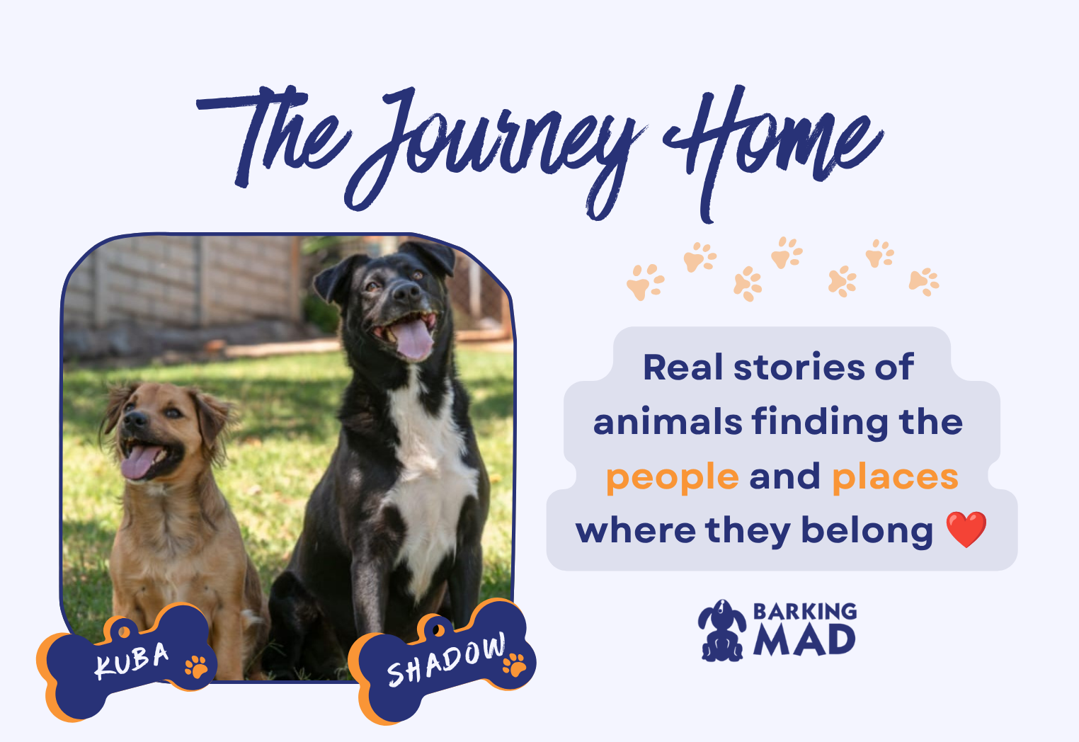 When Finding a Home Feels Impossible, Until It Isn’t: The Story of Kuba & Shadow