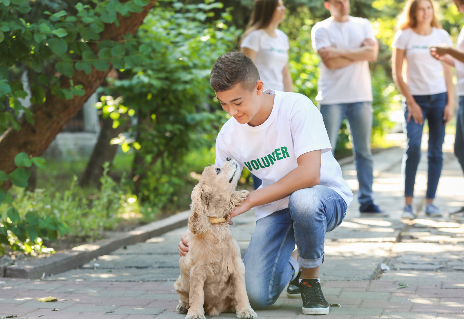 Want to Work With Dogs? Here's How To Get Started