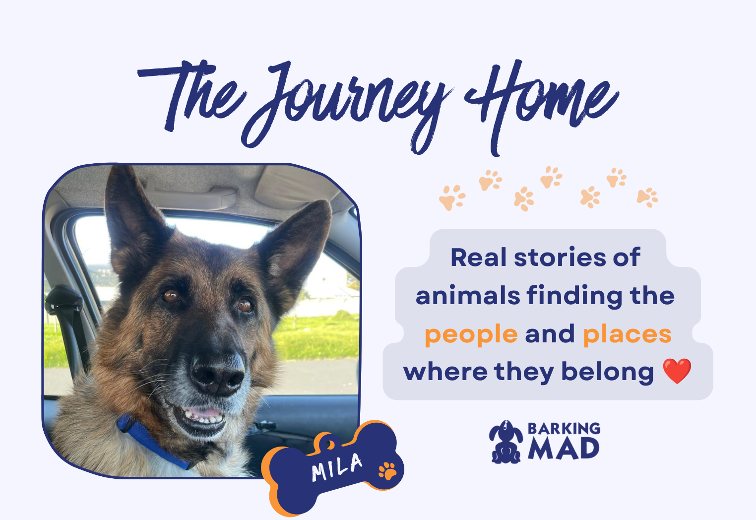 When Housing Restrictions Separate Families: Mila's Story | Not Without My Dog