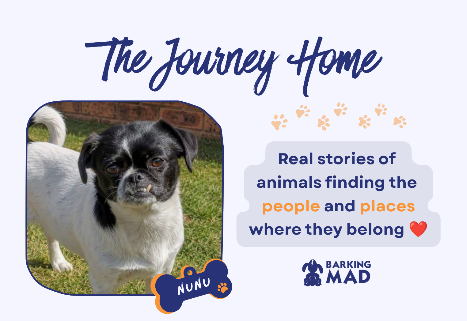 A New Chapter of Love: Nunu’s Journey Home