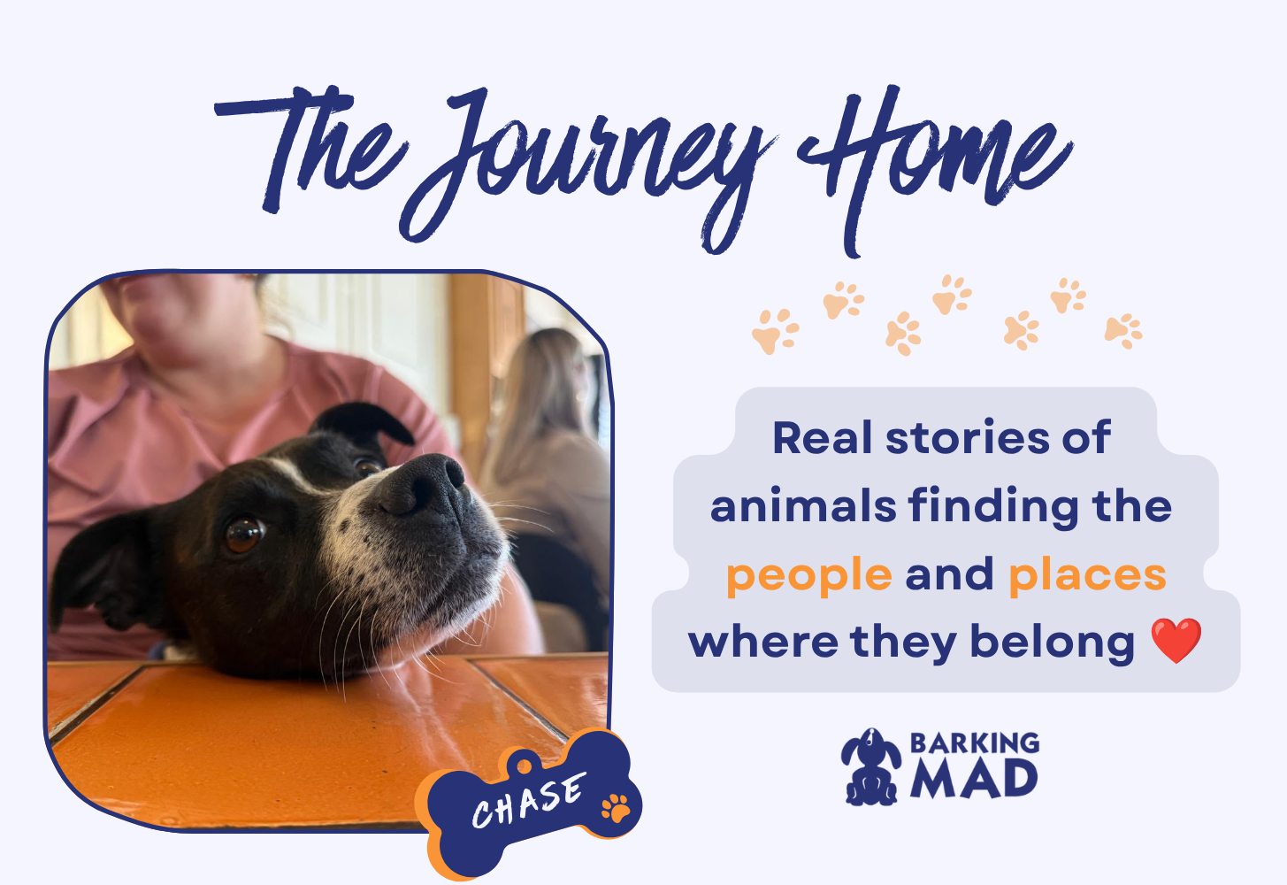 The Power of Home-to-Home Adoption: The Heartwarming Connection That Changed Chase's Story