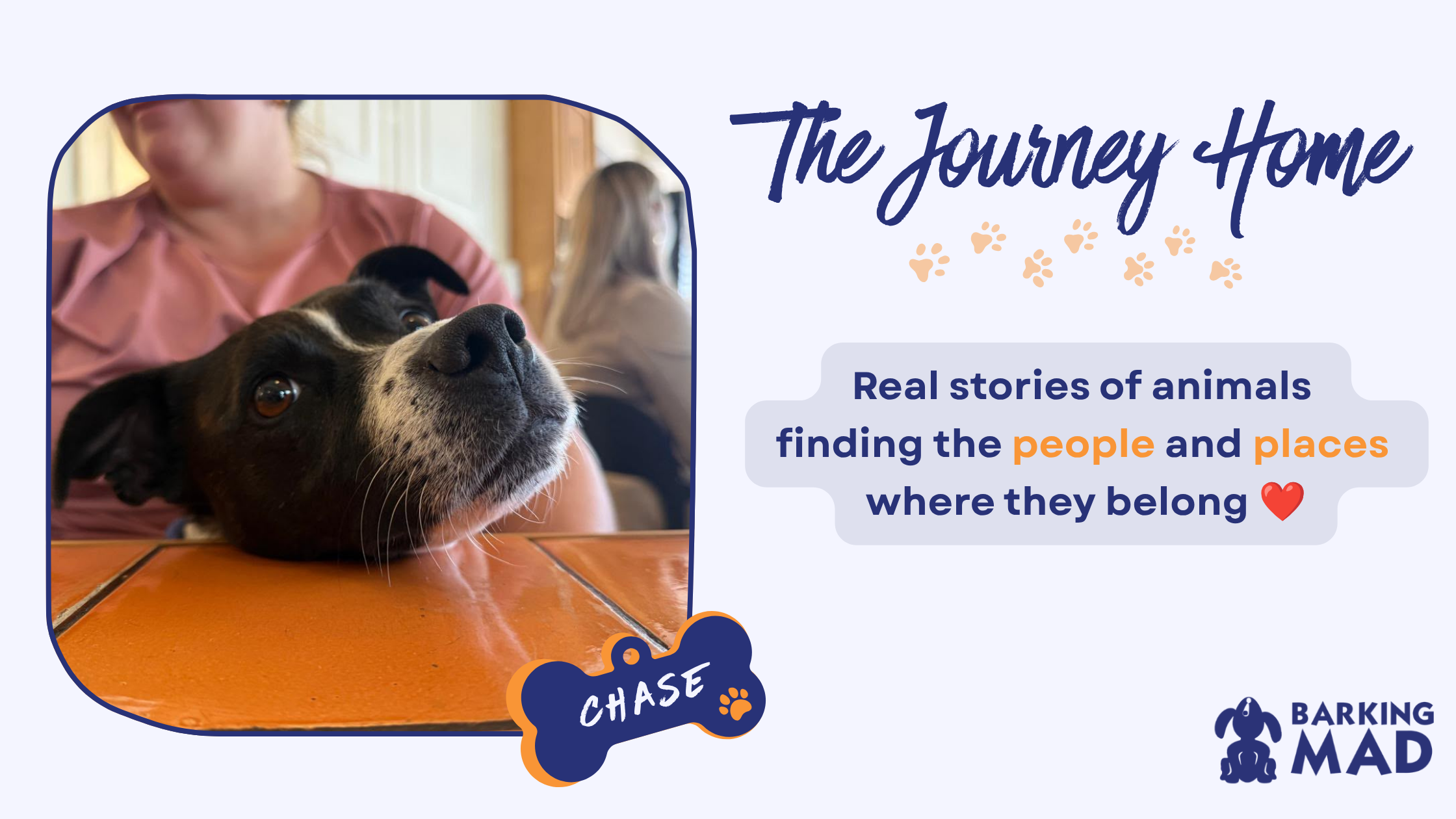 The Power of Home-to-Home Adoption: The Heartwarming Connection That Changed Chase's Story