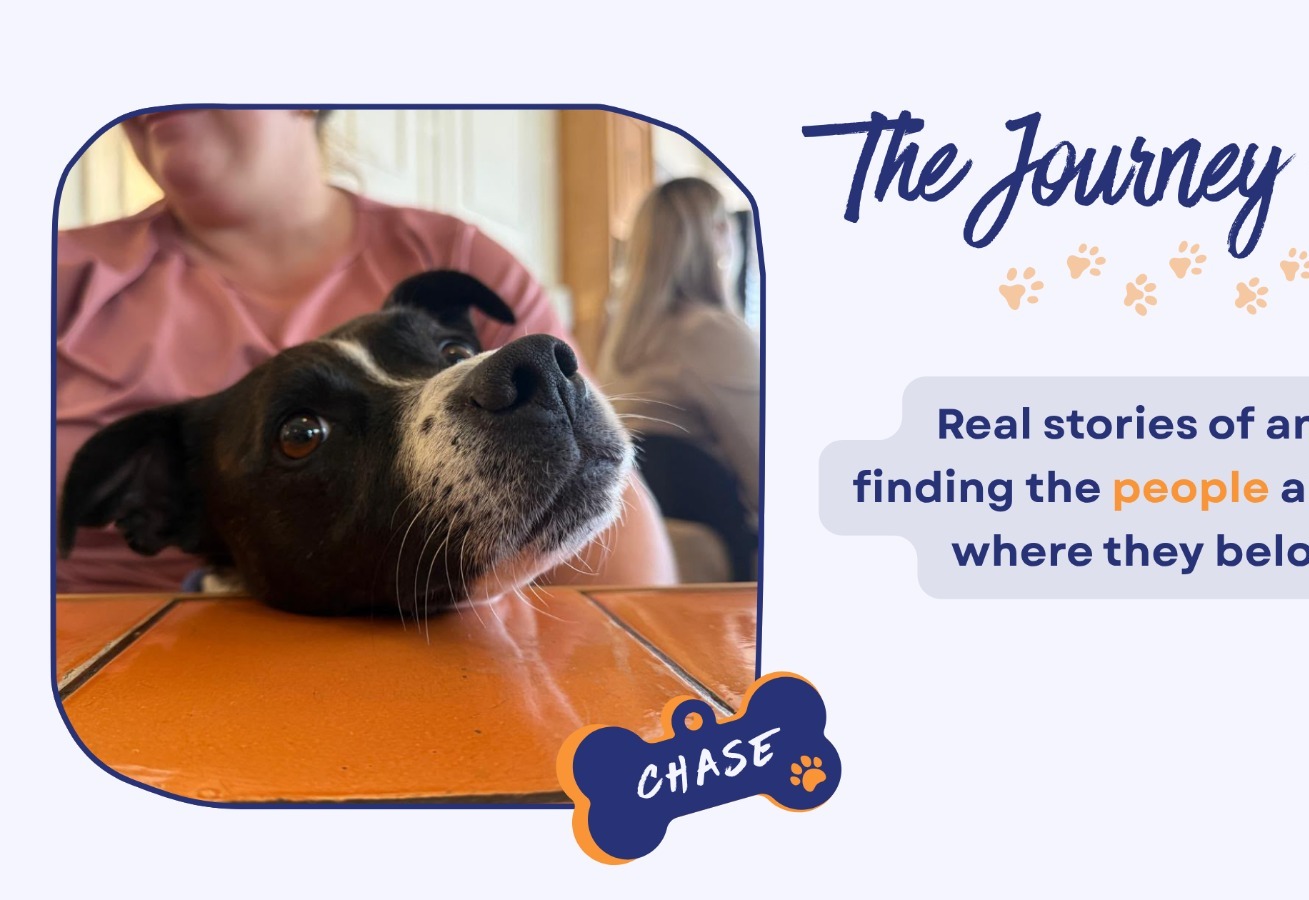 The Power of Home-to-Home Adoption: The Heartwarming Connection That Changed Chase's Story
