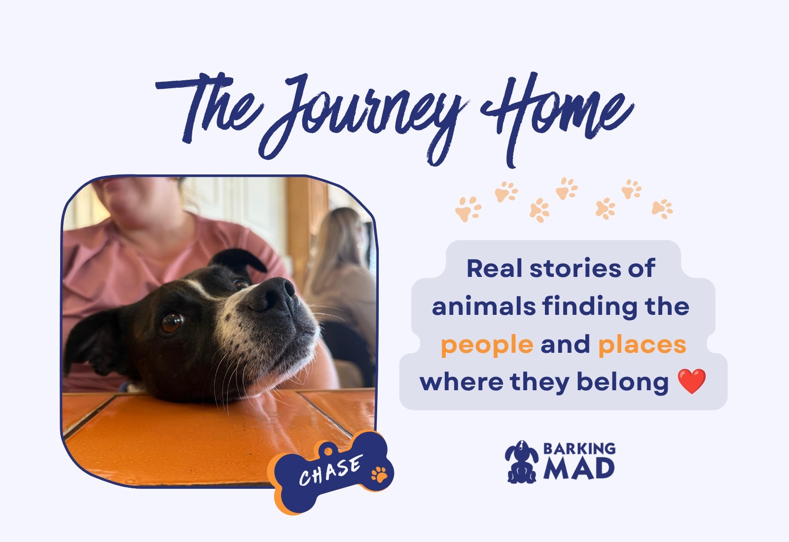 The Power of Home-to-Home Adoption: The Heartwarming Connection That Changed Chase's Story