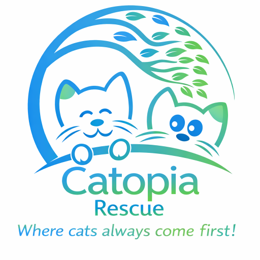 Photo of Catopia Boarding And Rescue NPC